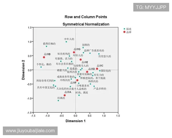 K8视讯是什么，分析其在行业中的市场定位及竞争优势所在