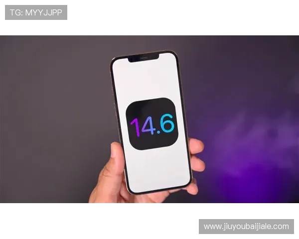 丽波真人测试常见问题解答与优化建议，助你轻松应对各种挑战