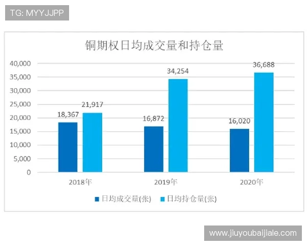 如何运用百家乐下注技巧实现资金的有效管理与风险控制 如何运用百家乐下注技巧实现资金的有效管理与风险控制