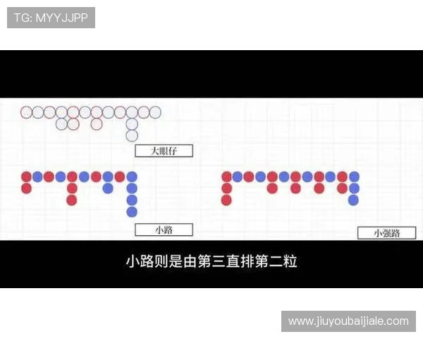如何利用百家乐下三路分析提升游戏胜率全面解析实用技巧与常见误区避免方法